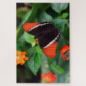Puzzle Papillon à page à bout rouillé (Vertical)