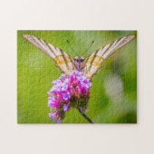 Puzzle Papillon à queue épaisse. (Horizontal)