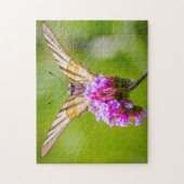 Puzzle Papillon à queue épaisse. (Vertical)