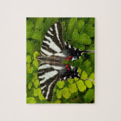 Puzzle Papillon américain swallowtail (Vertical)