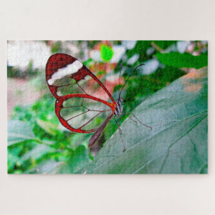 Puzzle Papillon aux ailes de verre.
