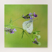 Puzzle Papillon blanc à veines vertes (Horizontal)