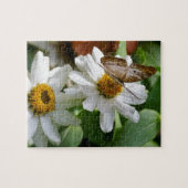 Puzzle Papillon blanc Peacock (Horizontal)