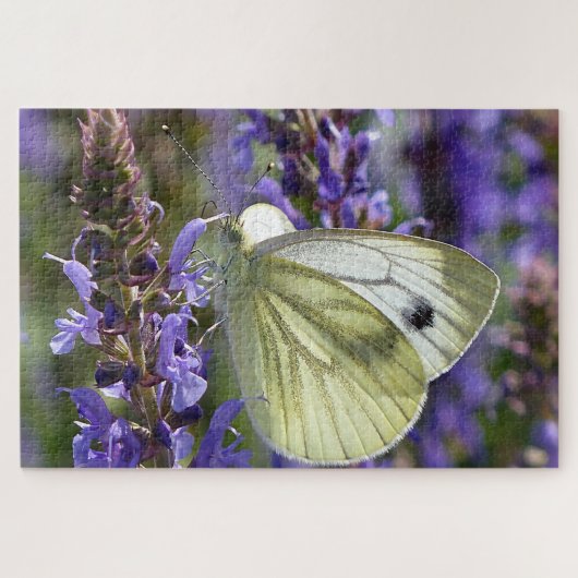 Puzzle Papillon blanc Pieris Rapae. (Horizontal)