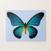 Puzzle papillon bleu (Horizontal)
