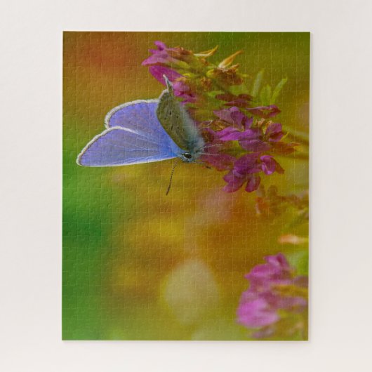 Puzzle Papillon bleu commun. (Vertical)