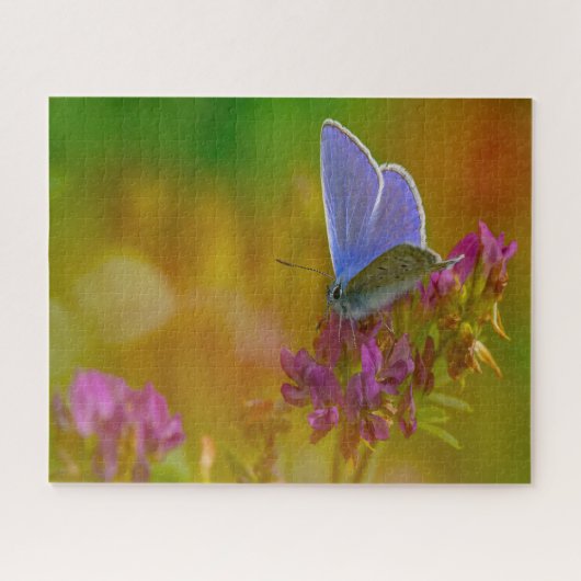 Puzzle Papillon bleu commun. (Horizontal)