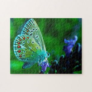 Puzzle Papillon bleu commun.