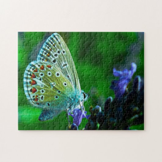 Puzzle Papillon bleu commun. (Horizontal)