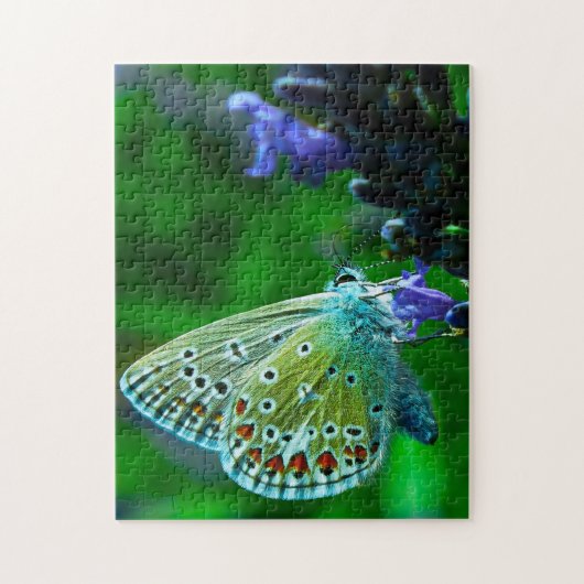 Puzzle Papillon bleu commun. (Vertical)