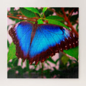 Puzzle papillon bleu Morpho (Horizontal)