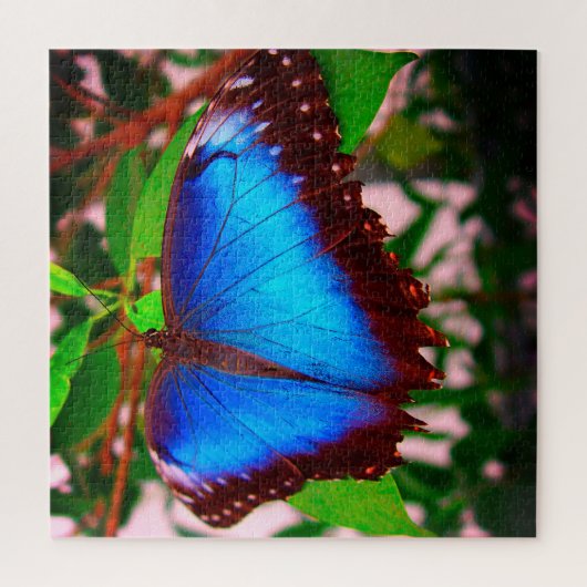 Puzzle papillon bleu Morpho (Vertical)