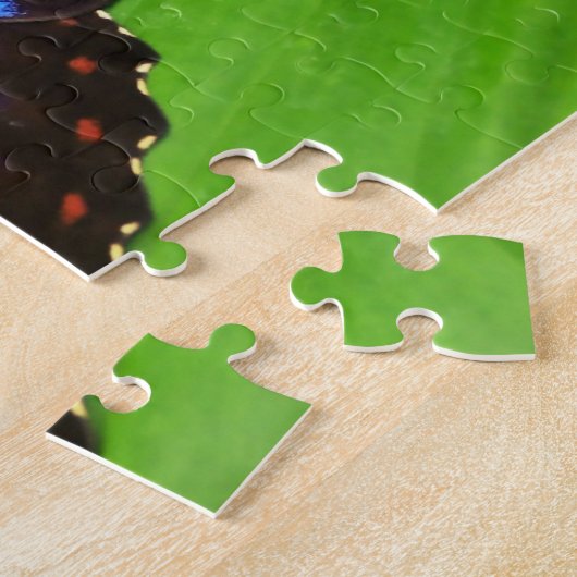 Puzzle Papillon bleu Morphofalter. (Côté)