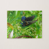 Puzzle Papillon bleu noir et orange (Horizontal)
