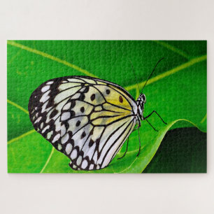 Puzzle Papillon Cerf-Volant.