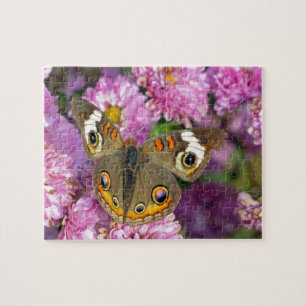 Puzzle Papillon commun