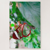 Puzzle Papillon d'aile en verre. (Vertical)