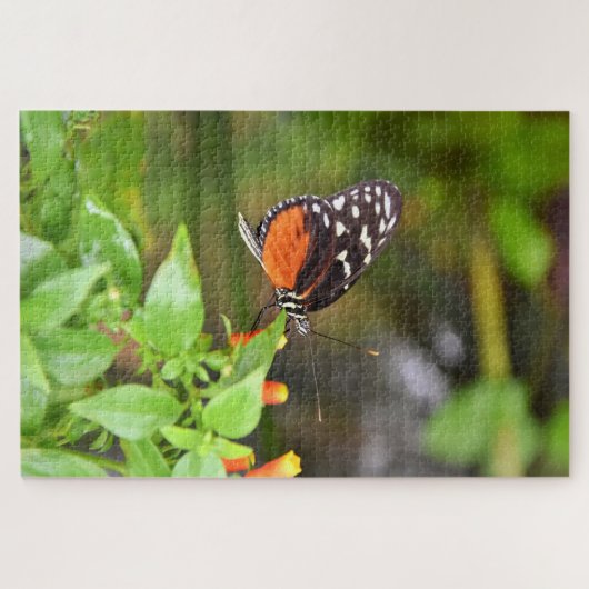 Puzzle Papillon-Dame Peint. (Horizontal)