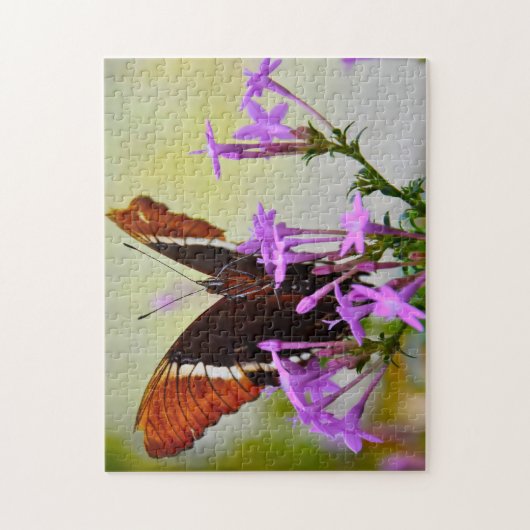 Puzzle Papillon-Dame Peint. (Vertical)
