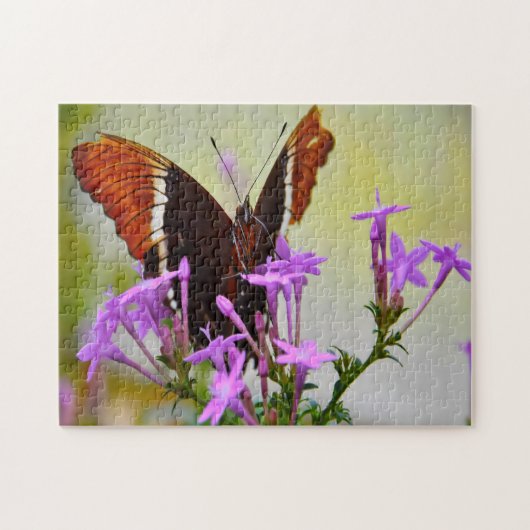 Puzzle Papillon Dame peinte. (Horizontal)