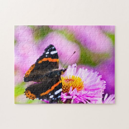 Puzzle papillon de l'amiral rouge (Horizontal)