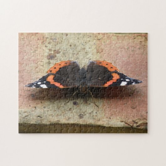 Puzzle papillon de l'amiral rouge (Horizontal)