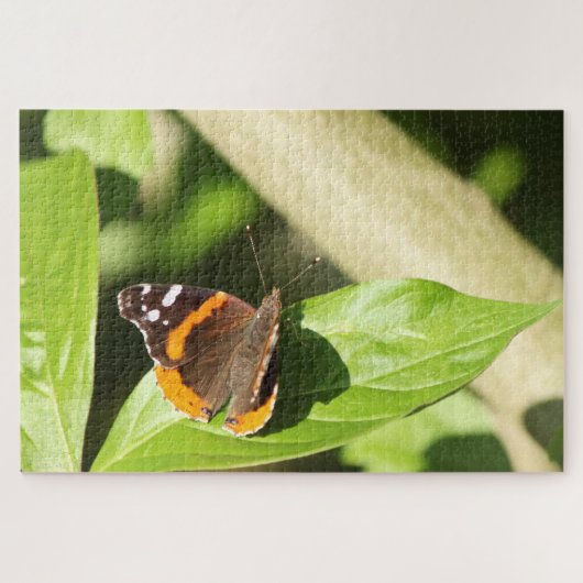 Puzzle Papillon de l'amiral rouge (Horizontal)