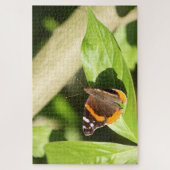 Puzzle Papillon de l'amiral rouge (Vertical)