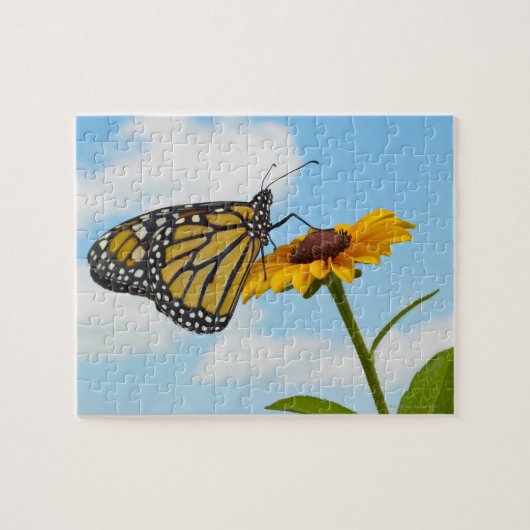 Puzzle Papillon de monarque (Horizontal)