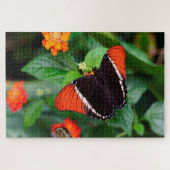 Puzzle Papillon de page pointu rouillé. (Horizontal)