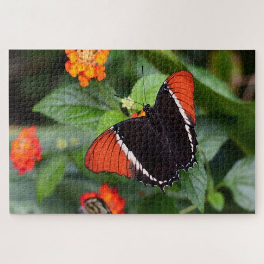 Puzzle Papillon de page pointu rouillé. (Horizontal)