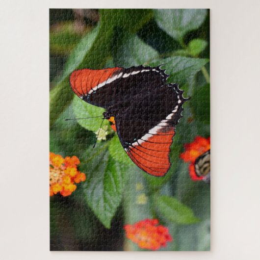 Puzzle Papillon de page pointu rouillé. (Vertical)