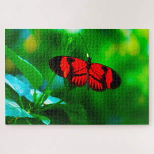 Puzzle Papillon de passion.