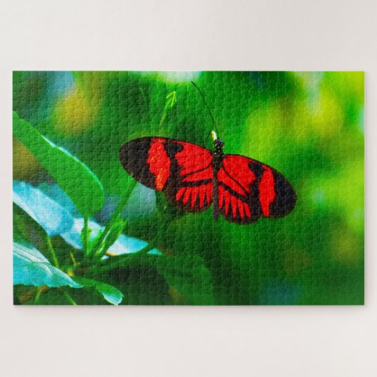 Puzzle Papillon de passion. (Horizontal)