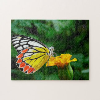 Puzzle Papillon Délila commun.