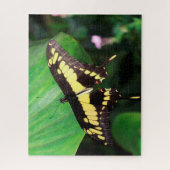 Puzzle Papillon Dovetail (Vertical)