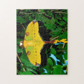 Puzzle Papillon Drexel. (Vertical)