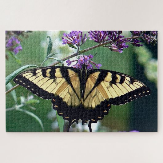 Puzzle Papillon du tigre oriental. (Horizontal)