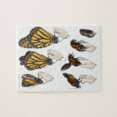 Puzzle Papillon émergeant du coccoon (Horizontal)