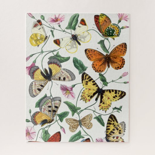 Puzzle papillon et papillon de nuit vintage (Vertical)