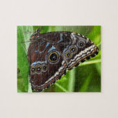 Puzzle Papillon foncé assis sur des Feuilles dans la natu (Horizontal)