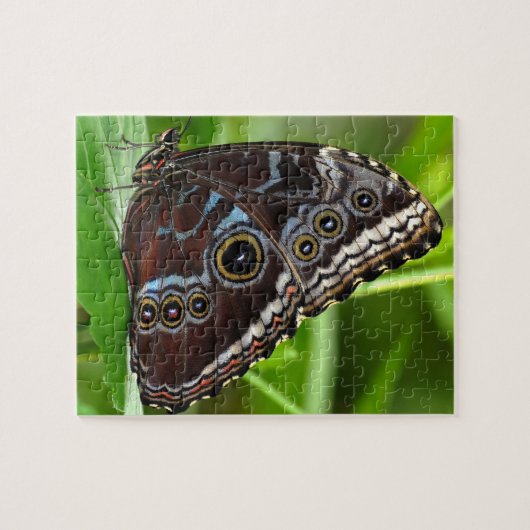 Puzzle Papillon foncé assis sur des Feuilles dans la natu (Horizontal)