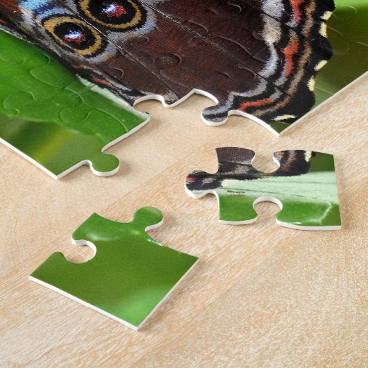 Puzzle Papillon foncé assis sur des Feuilles dans la natu (Côté)