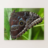 Puzzle Papillon foncé assis sur des Feuilles dans la natu (Horizontal)