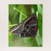 Puzzle Papillon foncé assis sur la feuille (Vertical)