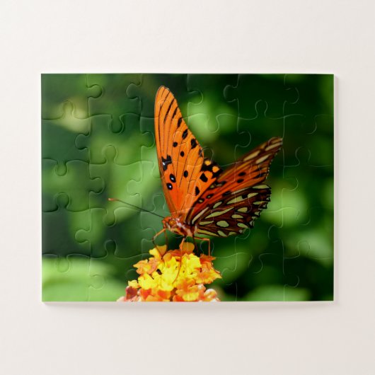 Puzzle Papillon Gulf fritillaire étiré (Horizontal)