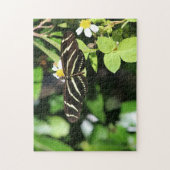 Puzzle Papillon Heliconius charithonia (Vertical)