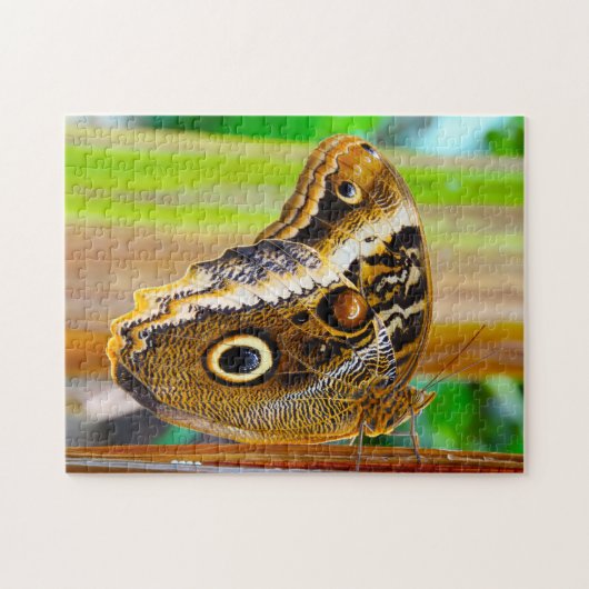 Puzzle Papillon Hibou. (Horizontal)
