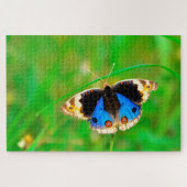 Puzzle Papillon Kupu Kupu (Horizontal)
