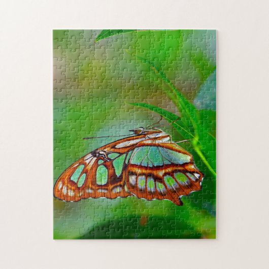 Puzzle Papillon malachite. (Vertical)